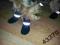 Pelo**Buty dla psa SKARPETKI softschell membrana