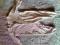 Pajacyk r. 56 śpioszki bawełniane z kotkiem OKAZJA
