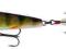 Savage Gear 3D Pop Prey66 6,6cm/7g F 04-Perch