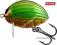 WOBLER SALMO LIL BUG 2F GBG KLEŃ JAŹ BYDGOSZCZ