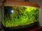AKWARIUM. CAŁY ZESTAW Z OBSADĄ