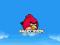 NAPRASOWANKI A6 angry birds