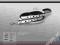 Smycz dla psa Swarovski Innowacja 12mm/120cm YORK