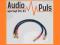 AUDIOTRUTH (AUDIOQUEST) EMERALD X3 INTERKONEKT RCA