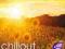 CHILLOUT 6 P.M. - 2 CD - CHILLI ZET - B.WESTBEECH