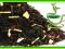 Oryginalny EARL GREY Podany Z CYTRYNĄ (50g)
