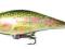 Wobler Salmo Executor 12cm 33g EX12SR RBT PROMOCJA
