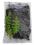 Wodorosty (Algi) Wakame 50 g