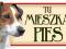 JACK RUSSELL TERRIER TABLICZKA NA DRZWI