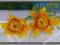 CF166 Sasanka gałązka DWA kwiaty 3.yellow