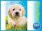 RAVEN. 100 EL. XXL Słodki Szczeniak OKAZJA 24H