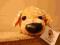 Duża maskotka The Dog Golden Retriever