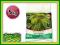 NAWOZ DO IGLAKOW pod iglaki iglak 5kg Planta HIT!