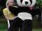 PANDA GIGANT 170cm.SERCE Z NADRUKIEM GRATIS