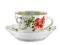 FLOWER FANTASY ROSENTHAL VERSACE filizanka do kawy