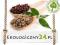 KAWA ZIELONA BRAZYLIA SANTOS (mielona) 1 kg detox