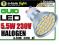 Żarówka GU10 27 led smd 5.5w halogen ciepła 230V