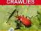 I-SPY CREEPY CRAWLIES (MICHELIN I-SPY GUIDE)