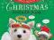 CHRISTMAS STICKER BOOK: STAR PAWS