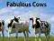 2014 CALENDAR BOOK: FABULOUS COWS 2014 Calendars