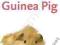 RSPCA PET GUIDE - CARE FOR YOUR GUINEA PIG