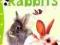 LOOKING AFTER RABBITS (PET GUIDE) Fiona Patchett