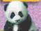 WWF WILD FRIENDS: PANDA PLAYTIME