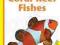 HANDY POCKET GUIDE TO TROPICAL CORAL REEF FISHES