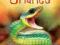 SNAKES (USBORNE DISCOVERY) Firth, Sheikh-Miller