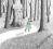 INTO THE FOREST Anthony Browne
