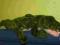 duży krokodyl Nilowy