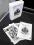 Svengali Ghost Deck Ellusionist XCM Cardistry NEW