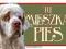 CLUMBER SPANIEL TABLICZKA NA DRZWI