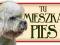 DANDIE DINMONT TERRIER TABLICZKA NA DRZWI