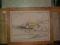 akwarela z 1953r podpisana