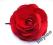 Stroik ślubny/ walentynkowy - czerwona róża spinka