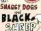 SHAGGY DOGS AND BLACK SHEEP Albert Jack