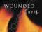 WOUNDED SHEEP: HOW TO HEAL CHURCH HURT Howard