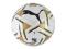 Piłka PUMA KING SIZE 5