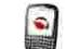 Etui Krusell Classic do BlackBerry RIM 67X0