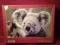 Puzzle 1000el. Miś Koala - nowe
