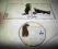 Lucky Peterson - Move CD 1997 france