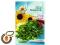 SŁONECZNIK - nasiona na kiełki - 20g - TORAF