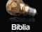 BIBLIA E-BIZNESU E-COMMERCE Nowa