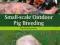 SMALL-SCALE OUTDOOR PIG BREEDING Wendy Scudamore