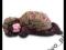 Unimax Toys ANNE GEDDES Lalka Śpiący Jeżyk