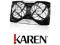 Arctic VGA cooler Accelero Twin Turbo II od Karen