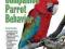 GUIDE TO COMPANION PARROT BEHAVIOR Mattie Athan