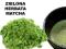 MATCHA ZIELONA HERBATA Z JAPONI JAPOŃSKA HERBATY
