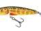 SALMO MINNOW TROUT 6cm/6g M6ST